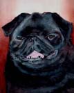 Black Pug Watercolor Painting